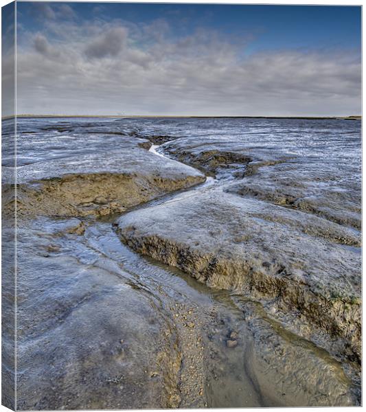 Saltings channel Canvas Print by Gary Eason