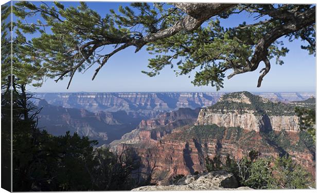 Grand Canyon from Bright Angel Trail Canvas Print by Gary Eason