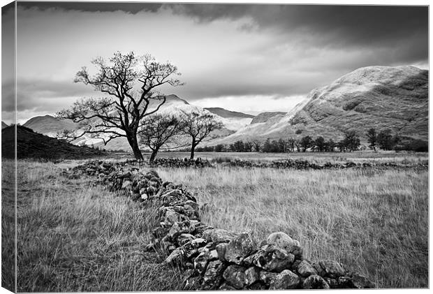 Old stone wall, Glen Gour Canvas Print by Gary Eason