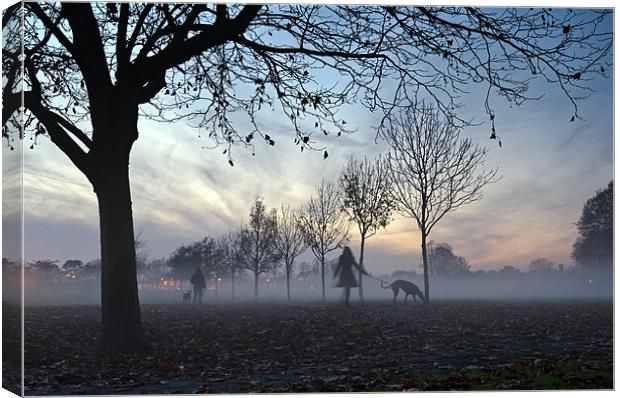 Misty afternoon in the park Canvas Print by Gary Eason