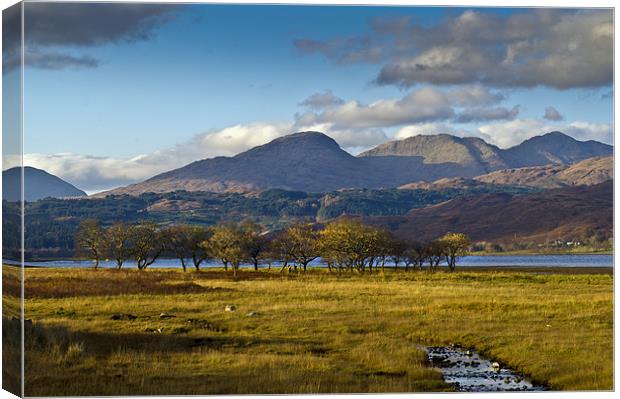 Scottish landscape view Canvas Print by Gary Eason
