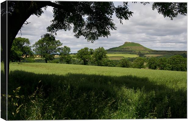 Roseberry Topping Canvas Print by Gary Eason
