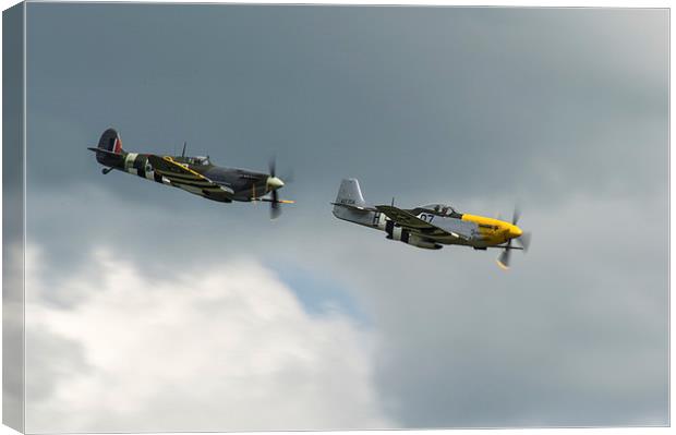 Spitfire and Mustang tail chase Canvas Print by Gary Eason