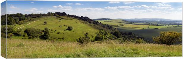 The Ridgeway in the Chilterns Canvas Print by Gary Eason