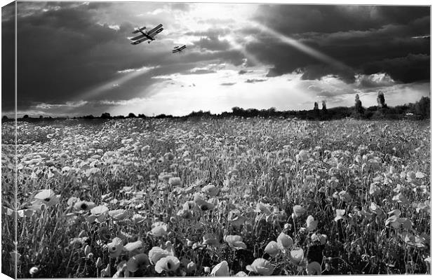 The final sortie WWI black and white version Canvas Print by Gary Eason
