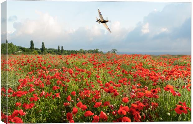 Spitfire over poppy field Canvas Print by Gary Eason