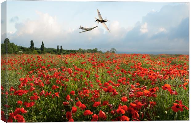Hurricane and Spitfire over poppy field Canvas Print by Gary Eason