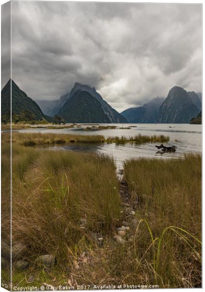 Low cloud in Milford Sound Canvas Print by Gary Eason