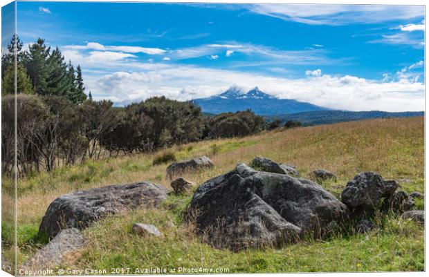 Mount Ruapehu view Canvas Print by Gary Eason