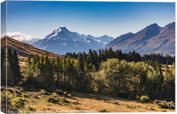 Mount Cook Aoraki view with trees Canvas Print by Gary Eason