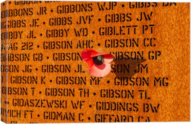 IBCC wall of names and poppy Canvas Print by Gary Eason