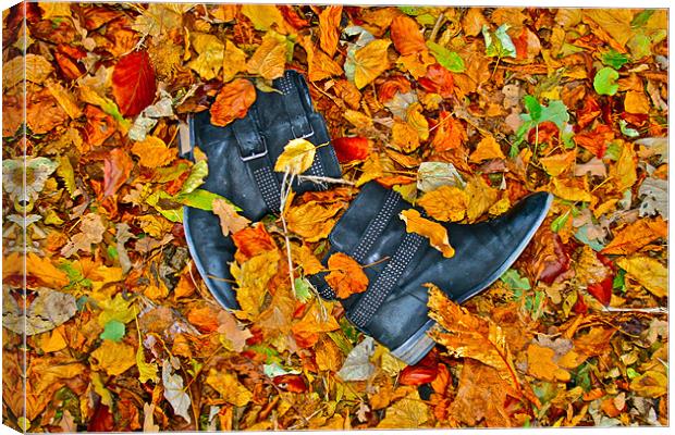 Autumn Boots Canvas Print by Caroline Williams