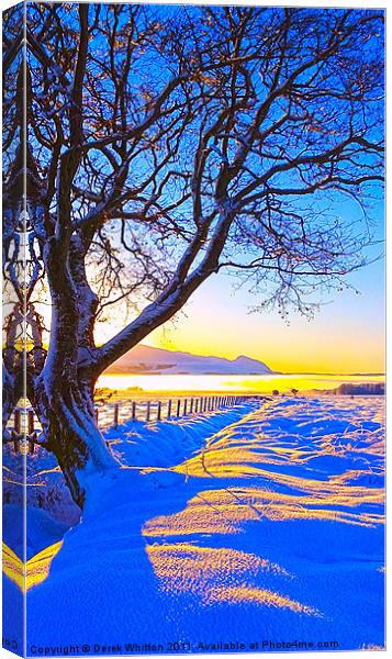 Winter Dawn Canvas Print by Derek Whitton