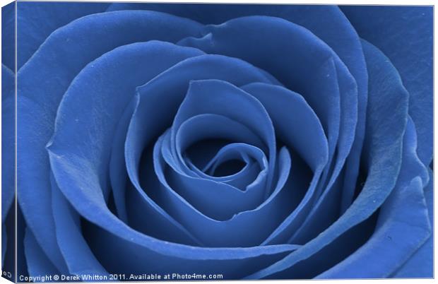 Blue Rose Canvas Print by Derek Whitton