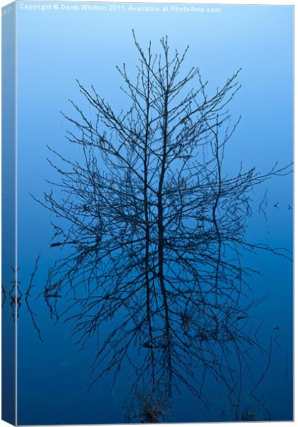 Reflection Canvas Print by Derek Whitton