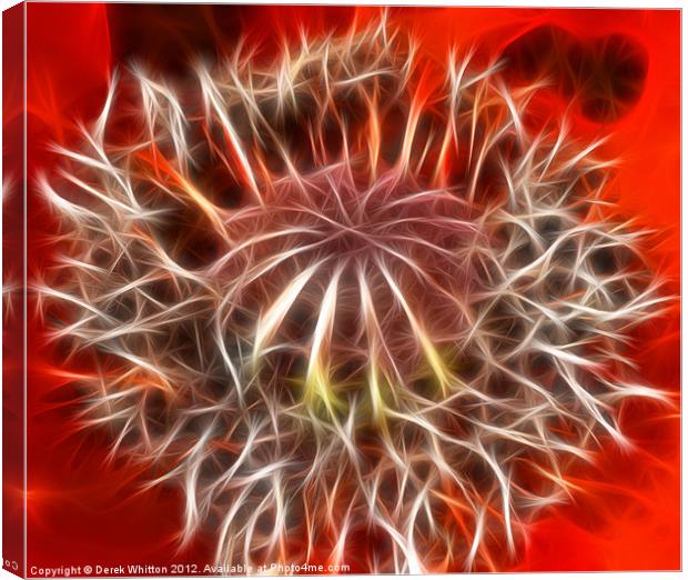 Fractal Red Poppy Canvas Print by Derek Whitton