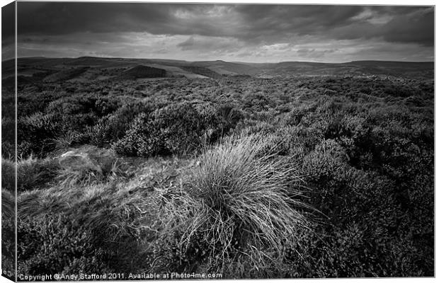 Wet Withens, Eyam Moor Canvas Print by Andy Stafford