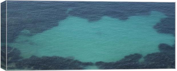 clear water Canvas Print by daniel kellick