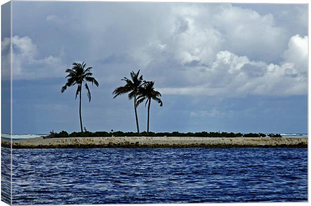 small island Canvas Print by Hassan Najmy