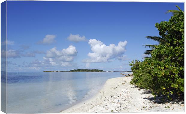 island scape Canvas Print by Hassan Najmy