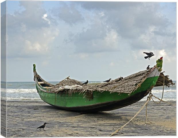 crows on boat Canvas Print by Hassan Najmy