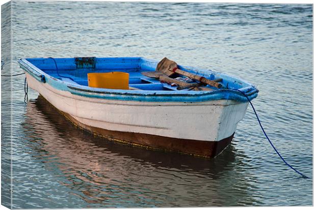 boat resting Canvas Print by Hassan Najmy