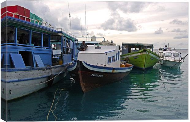 boats in harbor Canvas Print by Hassan Najmy