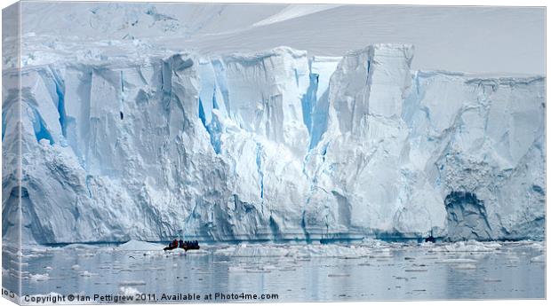 Antarctica Glacier breaks free Canvas Print by Ian Pettigrew