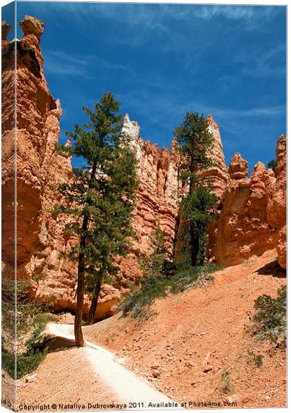 Red Sandstone, Bryce Canyon, Utah, USA Canvas Print by Nataliya Dubrovskaya