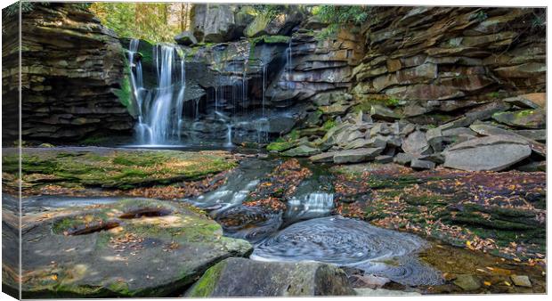 Elakala Falls Canvas Print by Nataliya Dubrovskaya