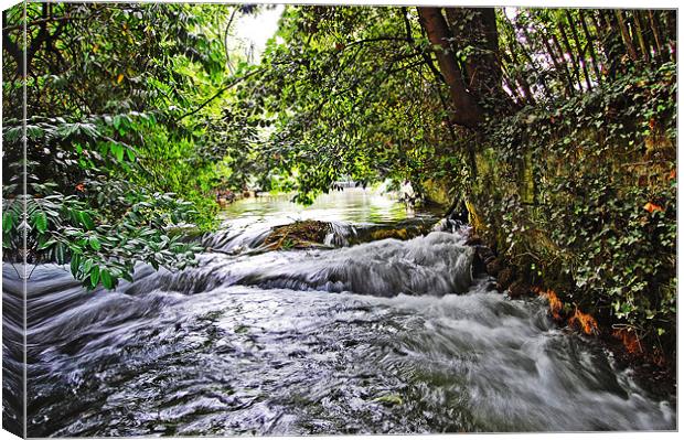 The Weir Canvas Print by michelle rook