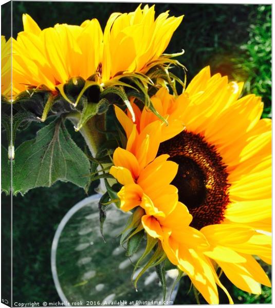 Sunflowers Canvas Print by michelle rook