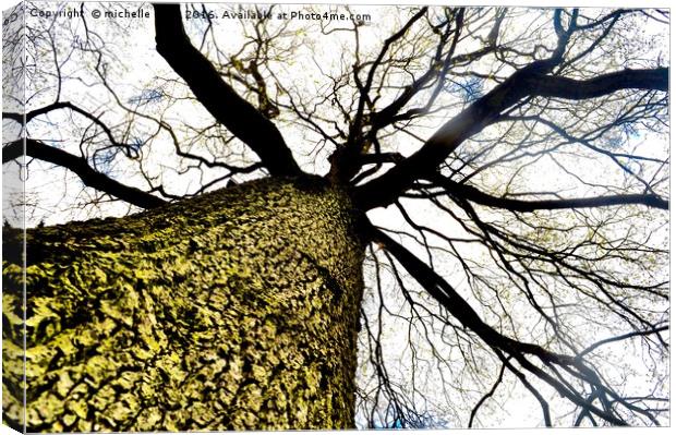 Stark tree  Canvas Print by michelle rook