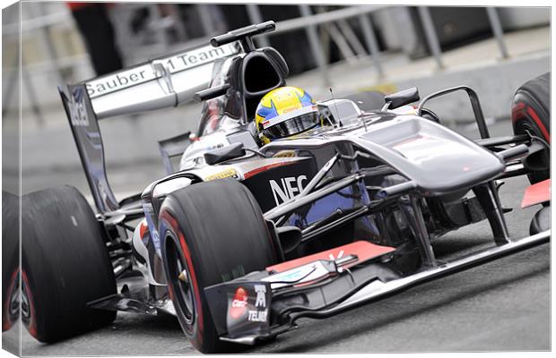 Esteban Gutiérrez Sauber F1 Team 2013 Canvas Print by SEAN RAMSELL