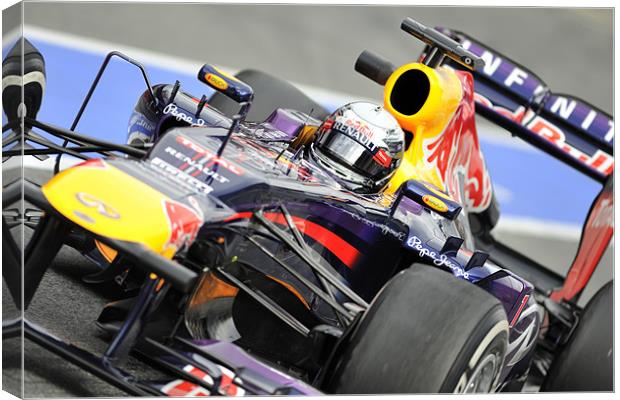 Sebastian Vettel 2013 RedBulll Canvas Print by SEAN RAMSELL