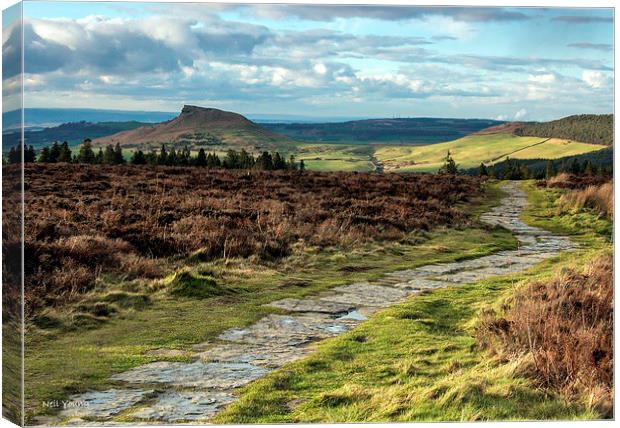 Roseberry Topping from Cleveland Way Canvas Print by Neil Young