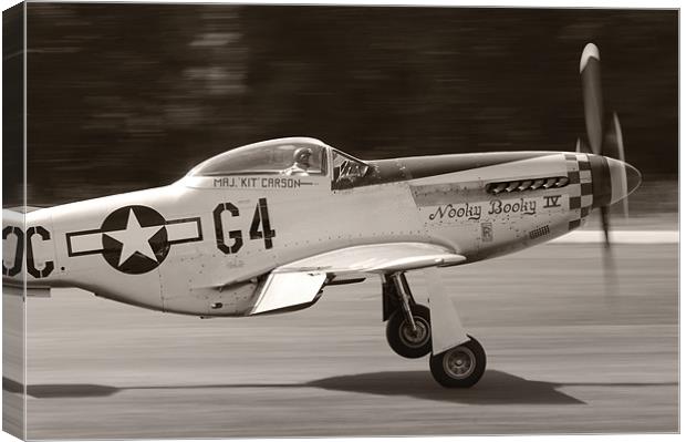 P51 - NOOKY BOOKY IV Canvas Print by Gabriele Rossetti
