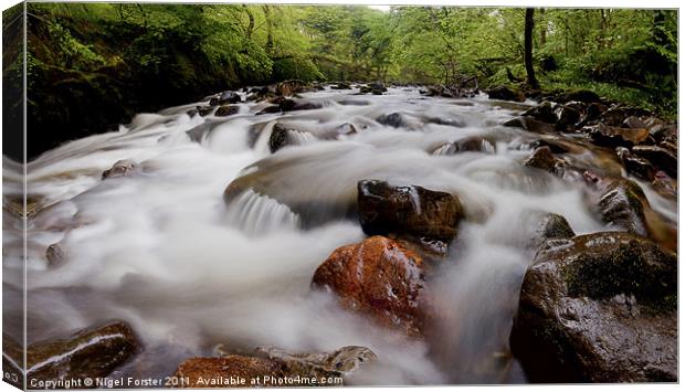 The Rapids, Pontneddfechan Canvas Print by Creative Photography Wales