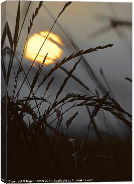 Barley sunrise Canvas Print by Creative Photography Wales