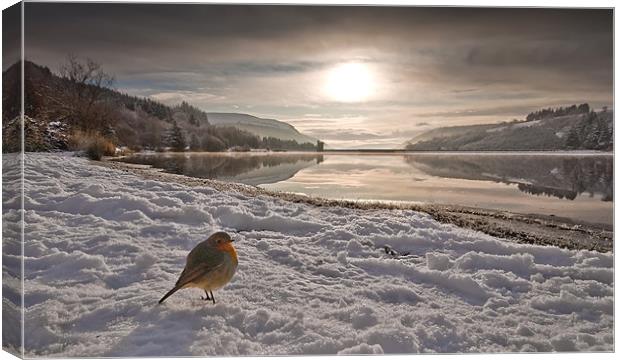 Llwyn Onn winter landscape Canvas Print by Creative Photography Wales