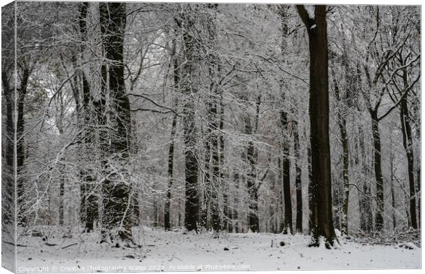 Forest of Dean Winter Landscape Canvas Print by Creative Photography Wales