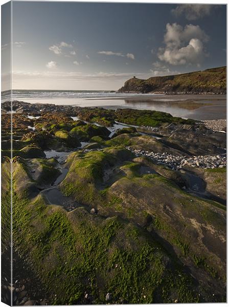 Seaweed, Abereiddy Canvas Print by Creative Photography Wales