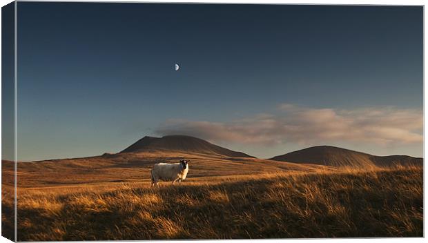 Beacons moonrise Canvas Print by Creative Photography Wales