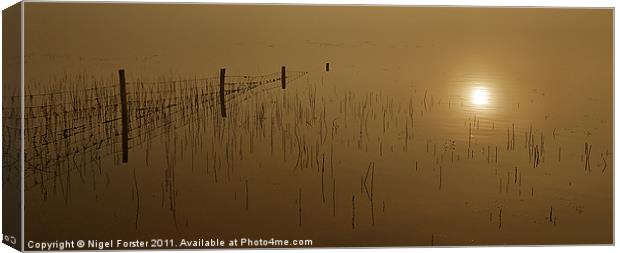 Reflections Canvas Print by Creative Photography Wales