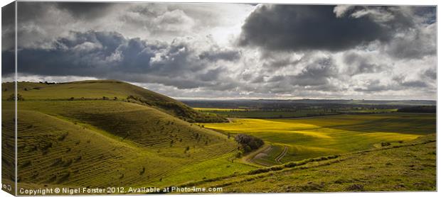 Pewsey Vale Spring Landscape Canvas Print by Creative Photography Wales