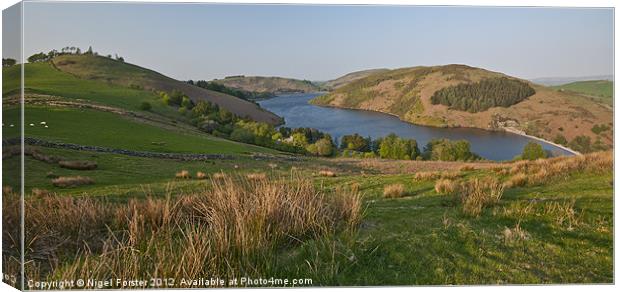 Lyn Clywedog Summer Landscape Canvas Print by Creative Photography Wales