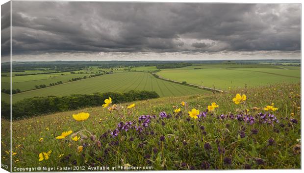 Pewsey Vale Summer landscape Canvas Print by Creative Photography Wales