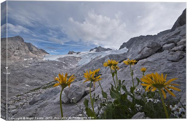 Alpine panorama Canvas Print by Creative Photography Wales