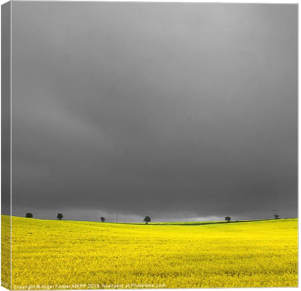 Warwickshire landscape Canvas Print by Creative Photography Wales