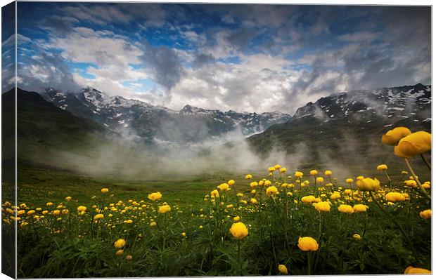 Alpine summer landscape Canvas Print by Creative Photography Wales